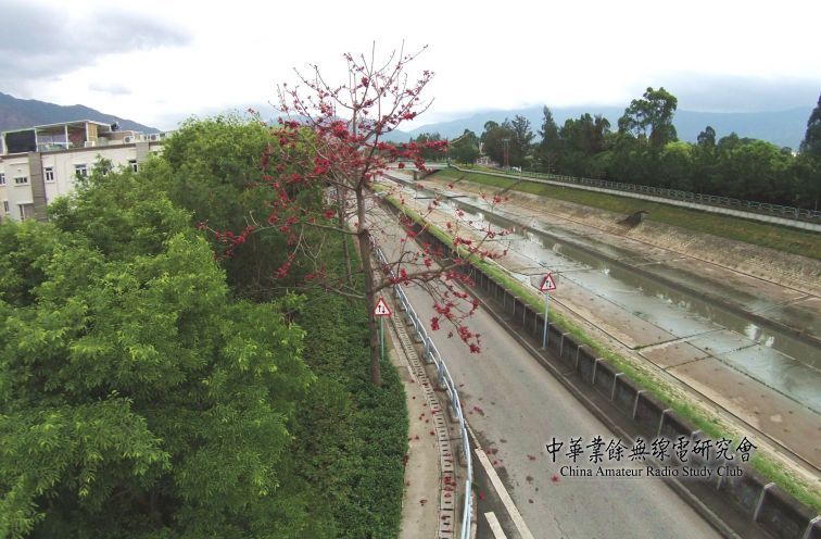 錦田風景02.jpg